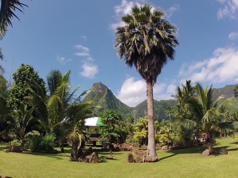 Eco Lodge Village Temanoha Paopao Exterior foto