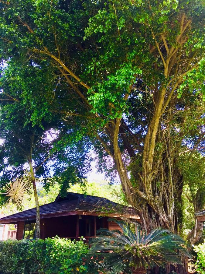 Eco Lodge Village Temanoha Paopao Exterior foto